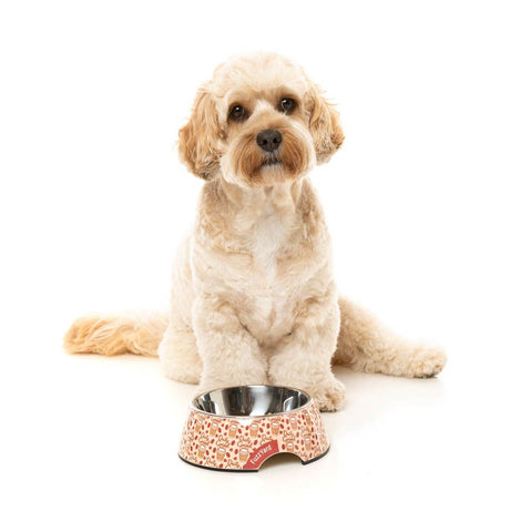 Fuzzyard Daily Grind Cat Bowl, Dog Bowl