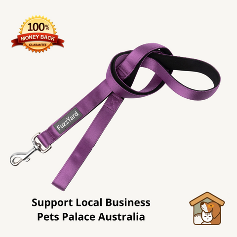 Fuzzyard Grape Dog Lead
