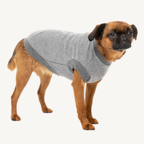 Fuzzyard FY Dog Jumper