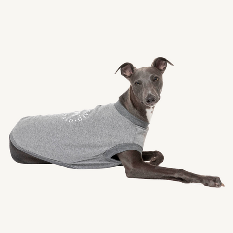 Fuzzyard FY Dog Jumper