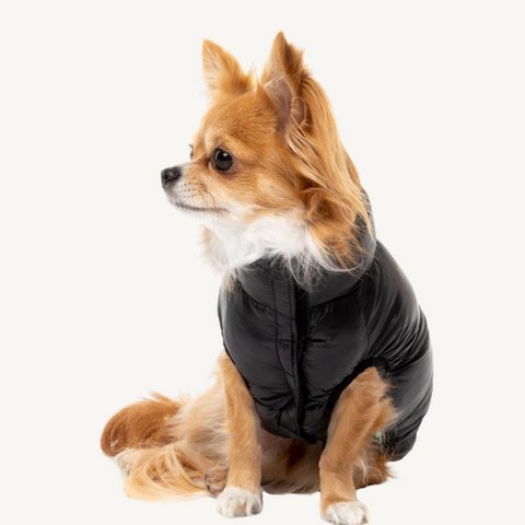 Fuzzyard East Harlem Dog Jacket