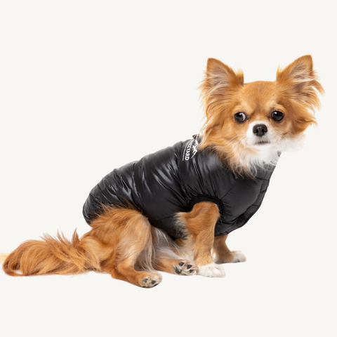 Fuzzyard East Harlem Dog Jacket