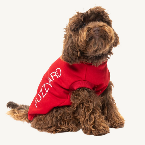 Fuzzyard Hero Dog Jumper