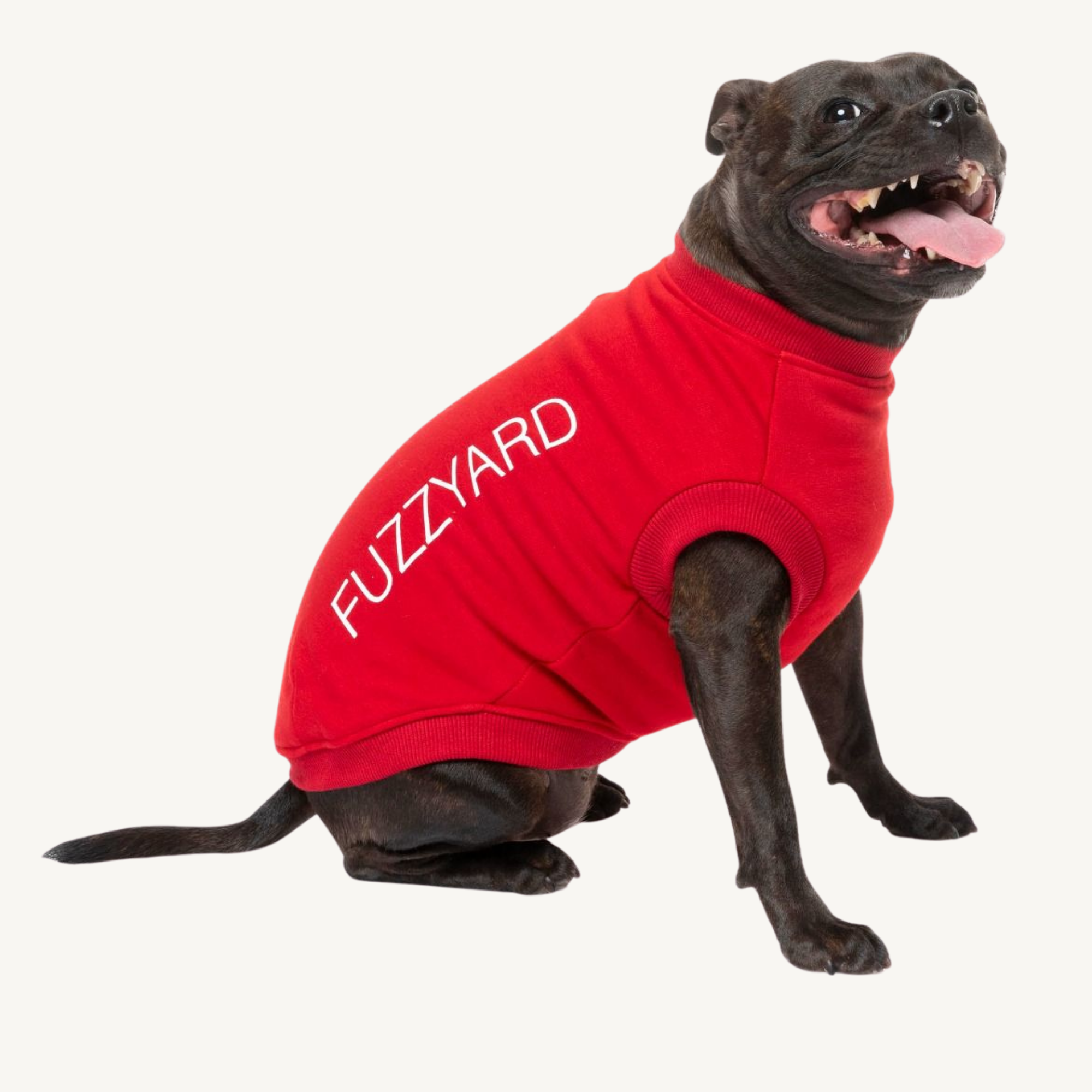 Liverpool dog jumper top