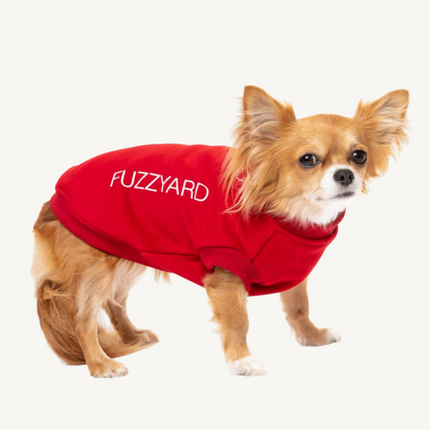 Fuzzyard Hero Dog Jumper