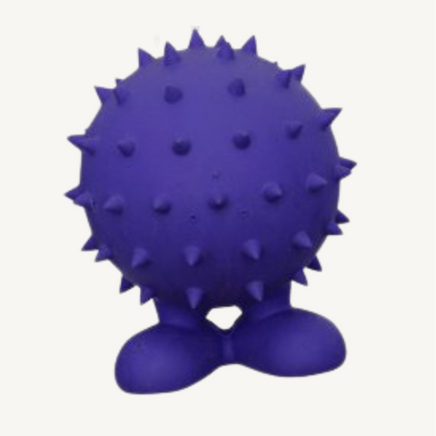 JW Spiky Cuz Dog Toy - Assorted Colours