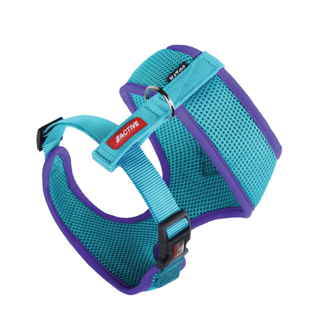 Kazoo Aqua-Purple Active Dog Harness