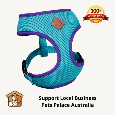 kazoo dog harness