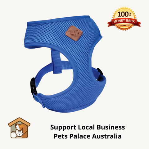 kazoo dog harness