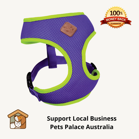 kazoo dog harness