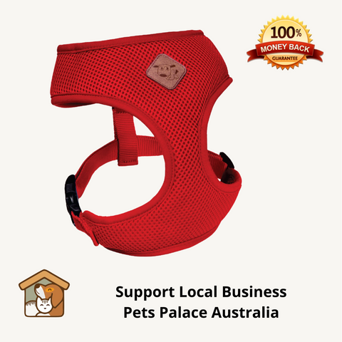 kazoo dog harness