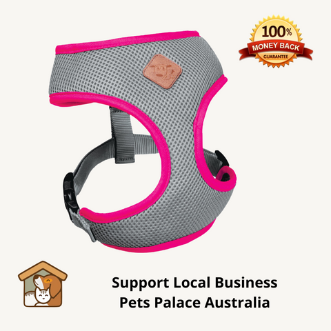 kazoo dog harness