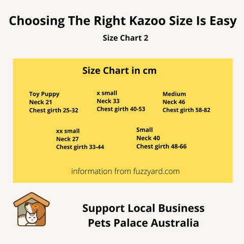 Kazoo Active Harness Purple/Lime