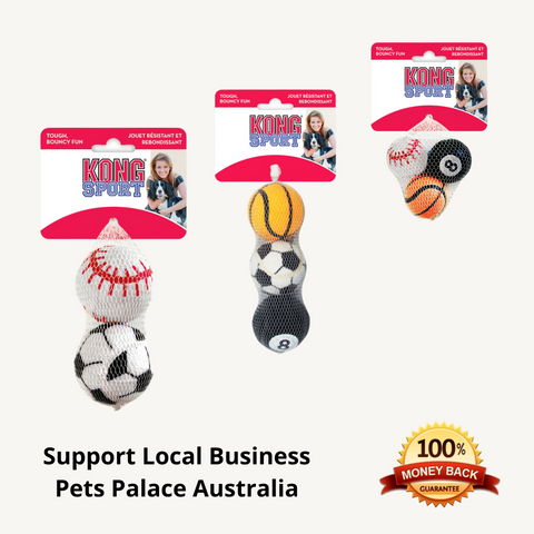 Kong Sports Balls Dog Toy