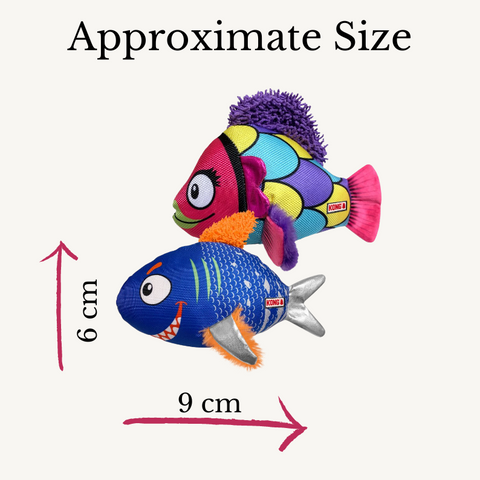 KONG Reefz Dog Toy