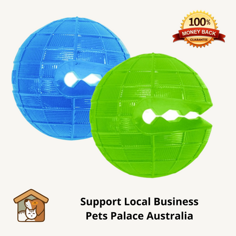 Kong TagALong Ball Dog Toy