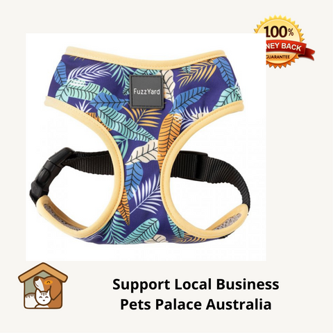 Dog Harness Fuzzyard Mahalo