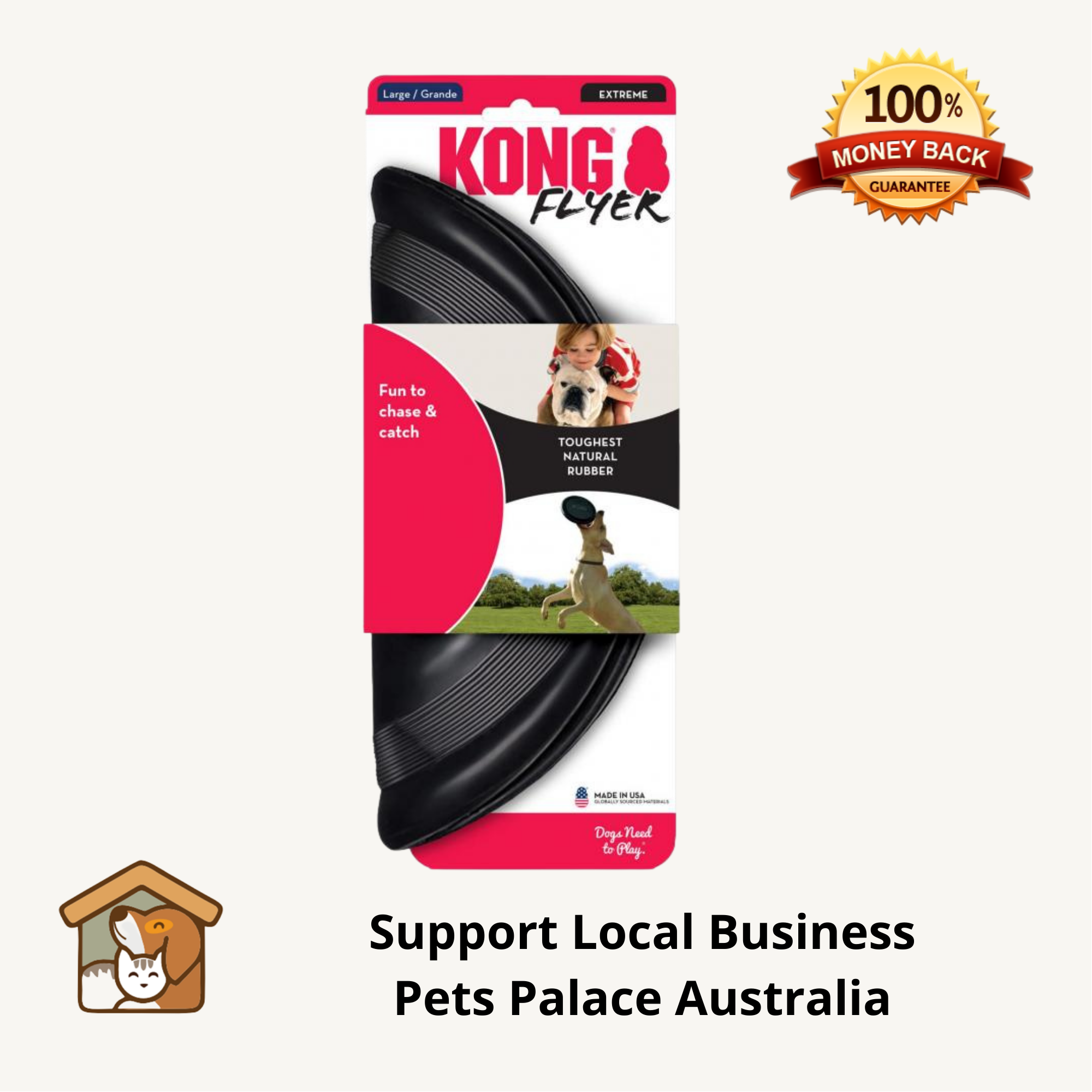 Kong 2024 flyer puppy