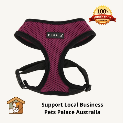 Puppia Air-Mesh Dog Harness Purple