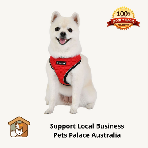 Puppia Air-Mesh Dog Harness Red