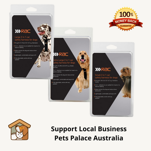 RAC Dog Seat Belt
