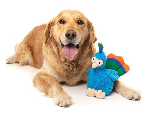 Fuzzyard Showboat the Peacock Dog Toy