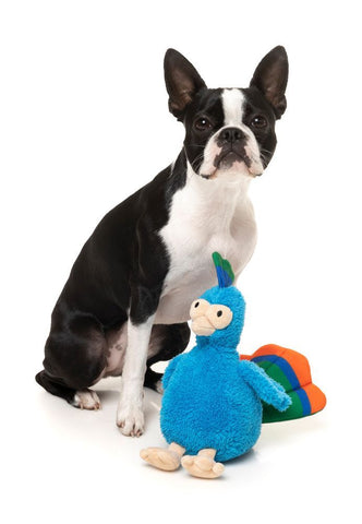 Fuzzyard Showboat the Peacock Dog Toy