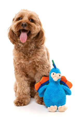 Fuzzyard Showboat the Peacock Dog Toy