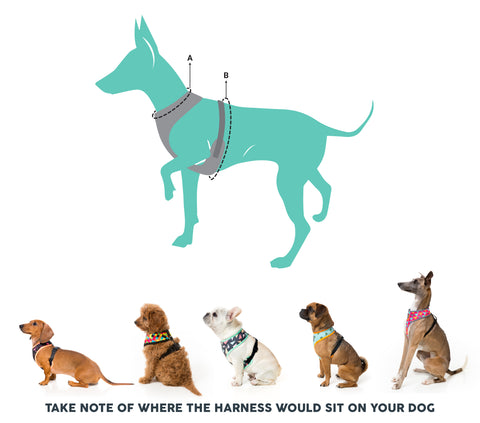 Fuzzyard Volt Dog Harness