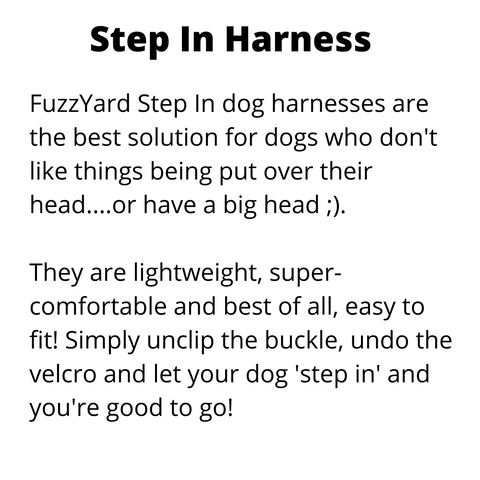 Fuzzyard Biggie Smiles Step In Dog Harness