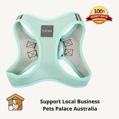Fuzzyard Step In Harness Mint Green