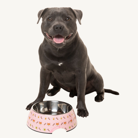 Fuzzyard Sushiba Dog Bowl & Cat Bowl