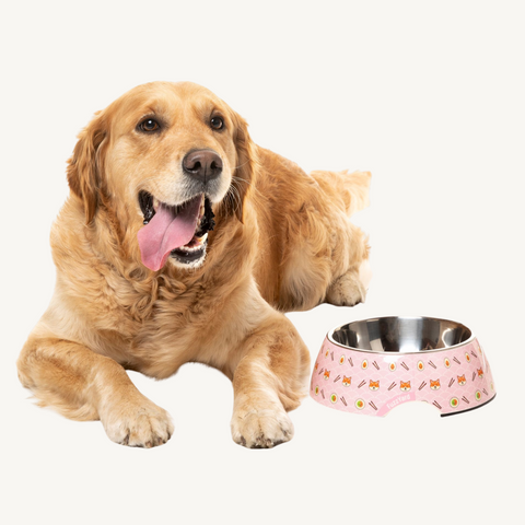 Fuzzyard Sushiba Dog Bowl & Cat Bowl