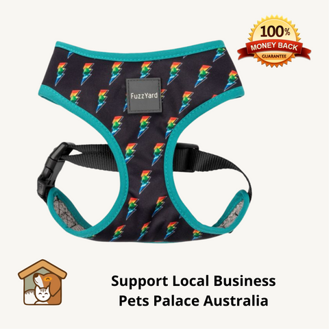 Fuzzyard Volt Dog Harness