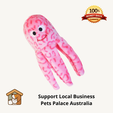 Zippy Paws Floppy Jelly Dog Toy