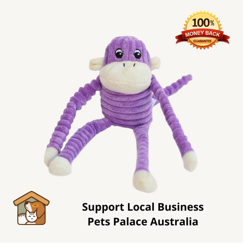 ZippyPaws SPENCER CRINCKLE MONKEY PURPLE SMALL 28 x 10cm