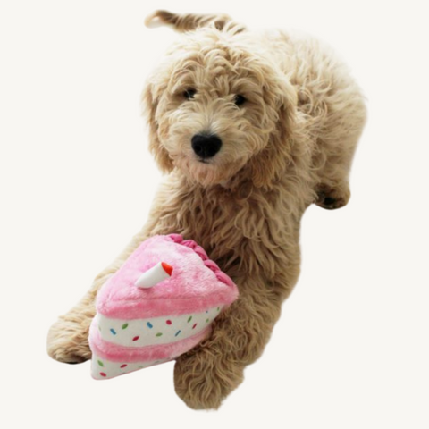 Zippy Paws Nom Nomz Birthday Cake Dog Toy