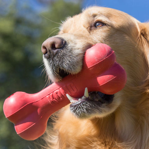 KONG Classic Goodie Bone Dog Toy