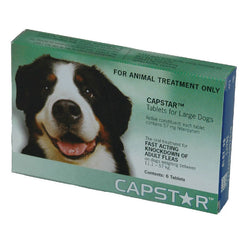 Capstar Flea Treatment for Dogs