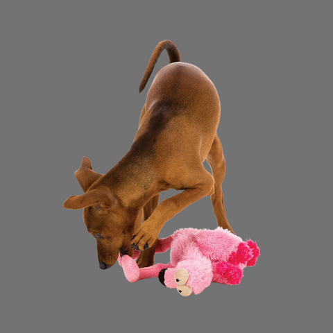 Fuzzyard Flo The Flamingo Dog Toy