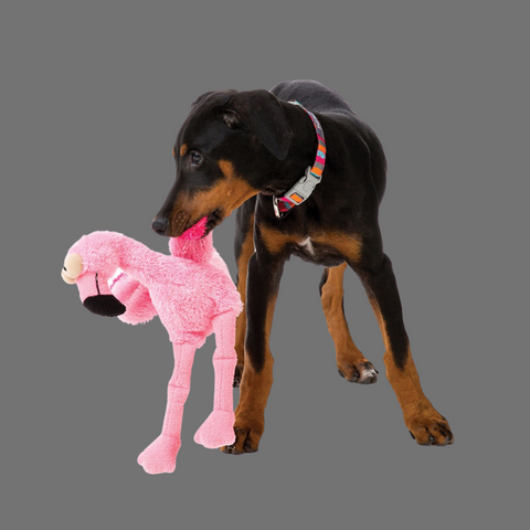 Fuzzyard Flo The Flamingo Dog Toy