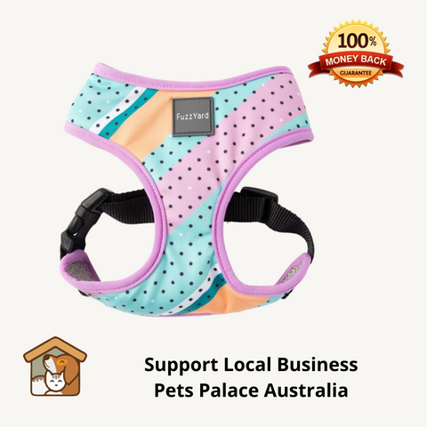 Fuzzyard Footloose Dog Harness