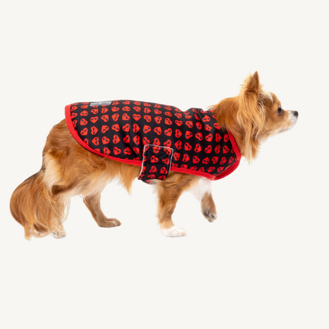 Fuzzyard Heart Breaker Dog Jacket