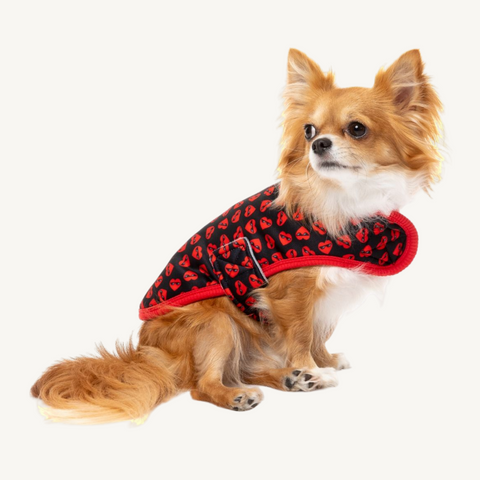 Fuzzyard Heart Breaker Dog Jacket