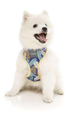Fuzzyard Mahalo Dog Harness
