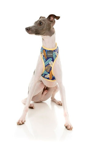 Fuzzyard Mahalo Dog Harness