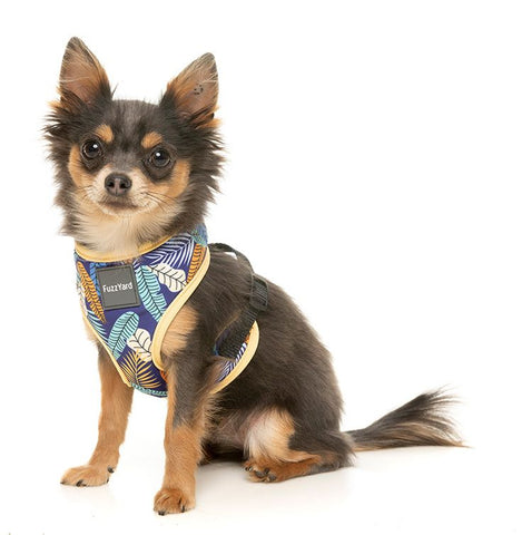 Fuzzyard Mahalo Dog Harness