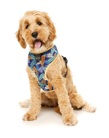 Fuzzyard Mahalo Dog Harness
