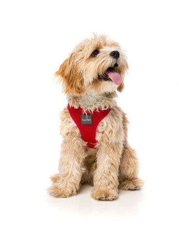 Fuzzyard Step In Harness Rebel Red