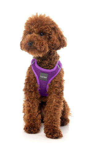 Fuzzyard Grape Step In Dog Harnessesx